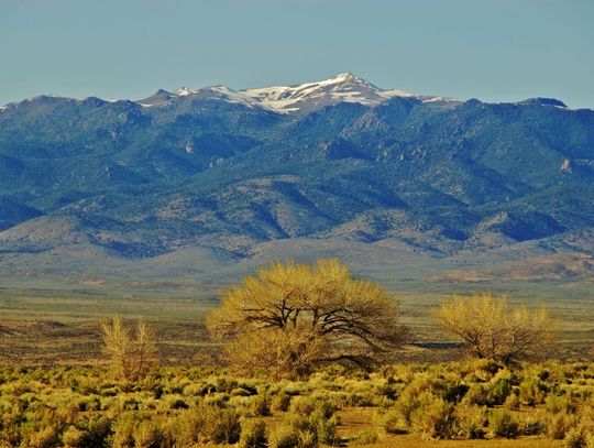 Amodei defends land-sale amendment, laments Nevada doesn't have Harry Reid's clout anymore