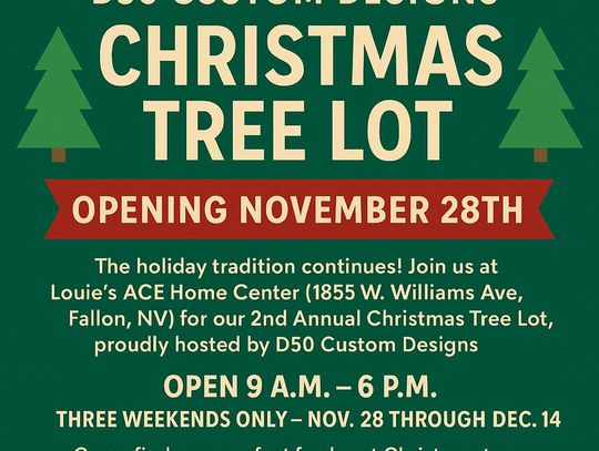 D50 Custom Designs Hosts Annual Christmas Tree Sale to Benefit Local Youth Groups