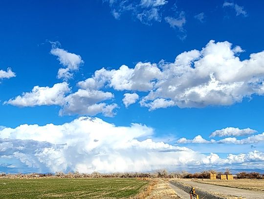 Deadline nears for comments on proposed BLM grazing rule changes