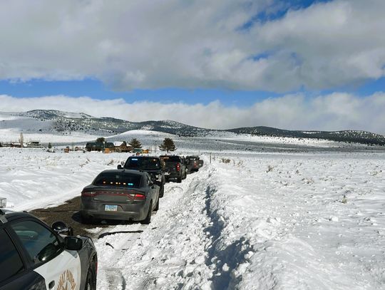 Photos courtesy of MSCO.