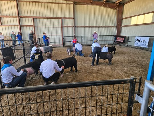 Nevada Agricultural Fair Returns to Gardnerville This Weekend