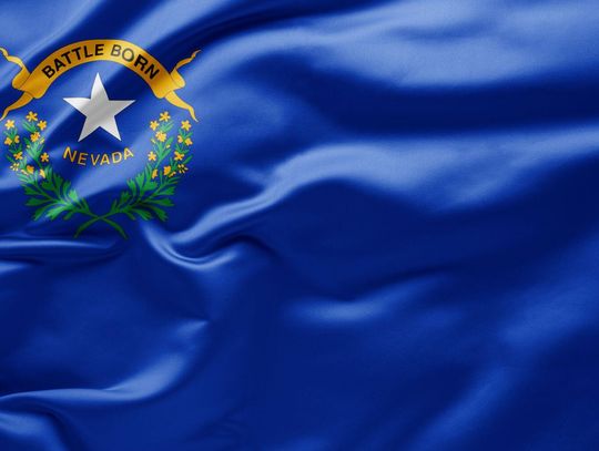 Nevada Online Marketplace Promotes Local Businesses