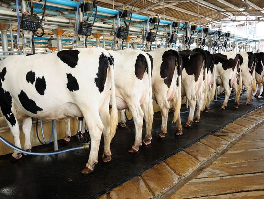 Nevada Producers May be Eligible for Second Stage of USDA Disaster Assistance Program