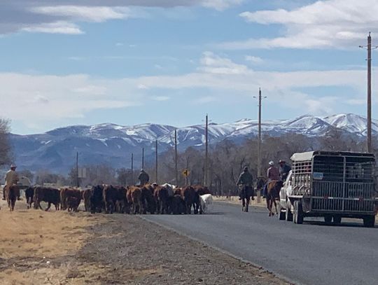 Nevada Senate to Hold Hearing on Agricultural Overtime Bill