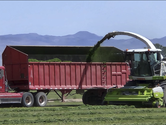 OBBBA Brings Policy Wins for Farmers and Ranchers OBBBA Brings Policy Wins for Farmers and Ranchers