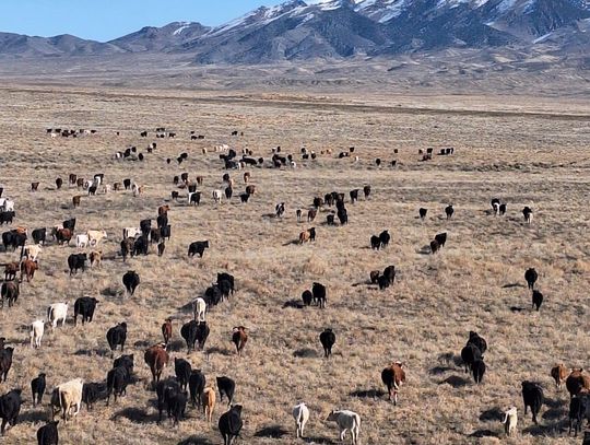 Ranchers Press Navy on Compensation as FRTC Expansion Moves Forward