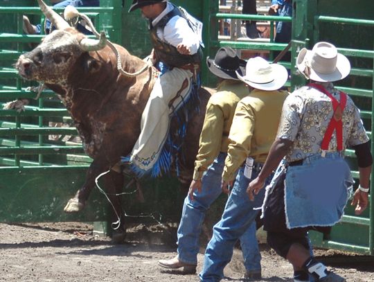 Reno Rodeo Association takes over management of Nevada State Fairgrounds
