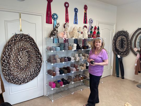 Spinning Yarns -  Fiber Arts in the Desert of Nevada