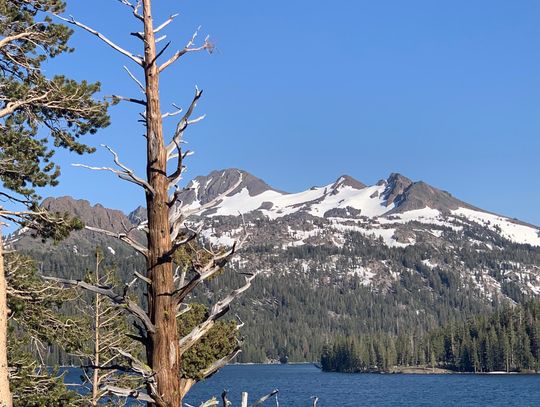 State Engineer Cacioppo prefers local decisions on water use before curtailment
