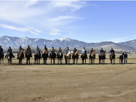 Wild Horse and Burro Adoption Event Wild Horse and Burro Adoption Event