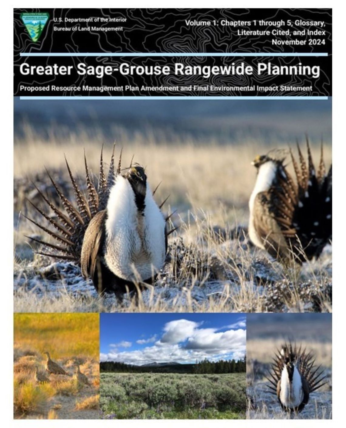 BLM Releases Updated Sage Grouse Plan