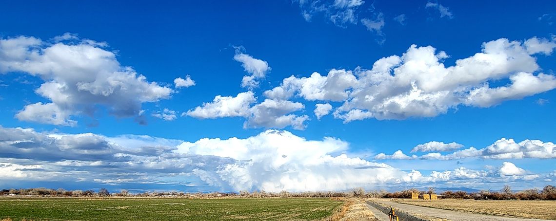 Deadline nears for comments on proposed BLM grazing rule changes Deadline nears for comments on proposed BLM grazing rule changes