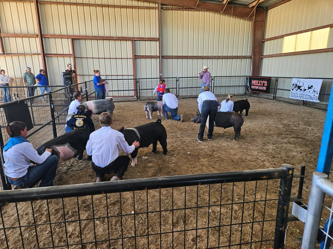 Nevada Agricultural Fair Returns to Gardnerville This Weekend Nevada Agricultural Fair Returns to Gardnerville This Weekend