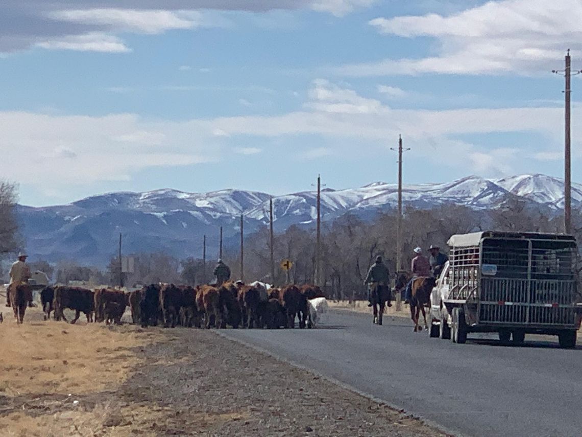 Nevada Senate to Hold Hearing on Agricultural Overtime Bill