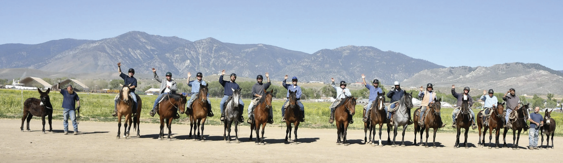 Prison-trained mustangs wrangle $80,700 at Carson City adoption Prison-trained mustangs wrangle $80,700 at Carson City adoption