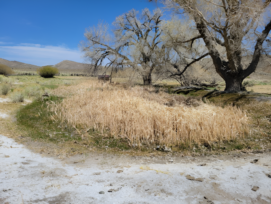 Rhyolite Ridge Lithium Project Moves Forward Amid Environmental Concerns Rhyolite Ridge Lithium Project Moves Forward Amid Environmental Concerns