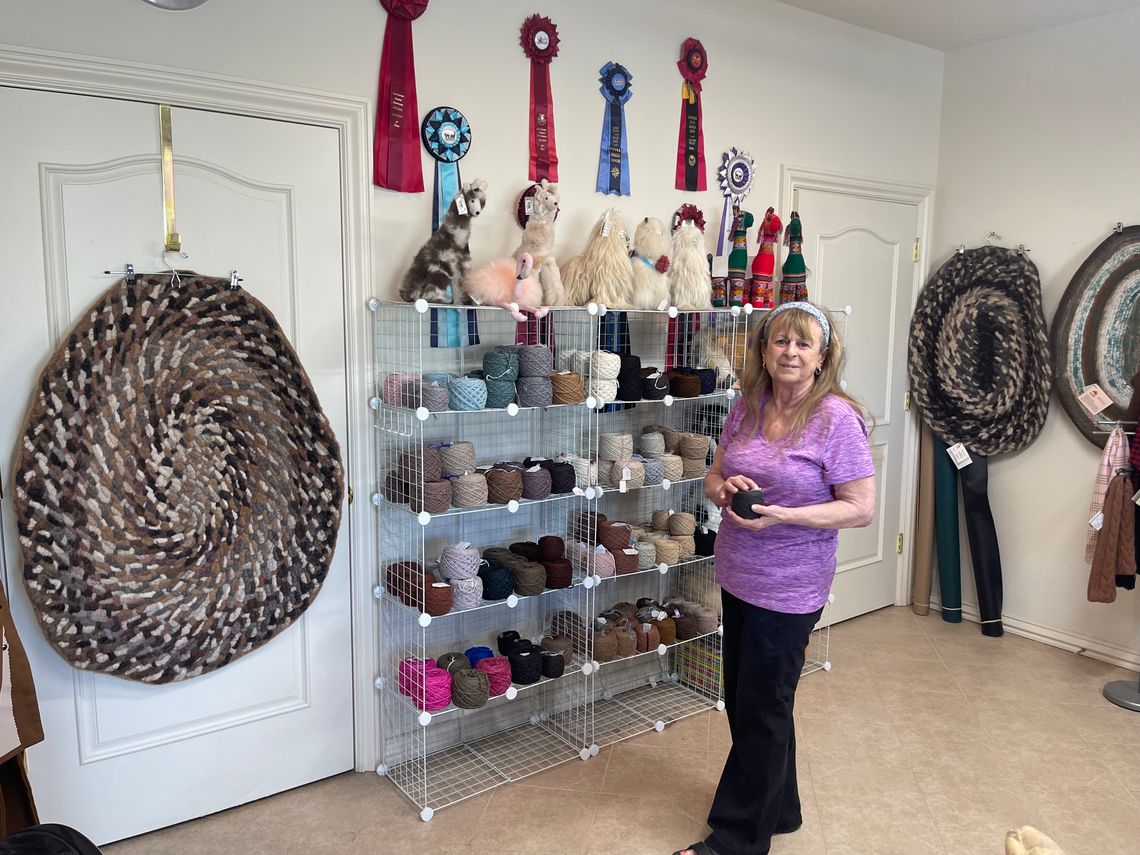 Spinning Yarns -  Fiber Arts in the Desert of Nevada