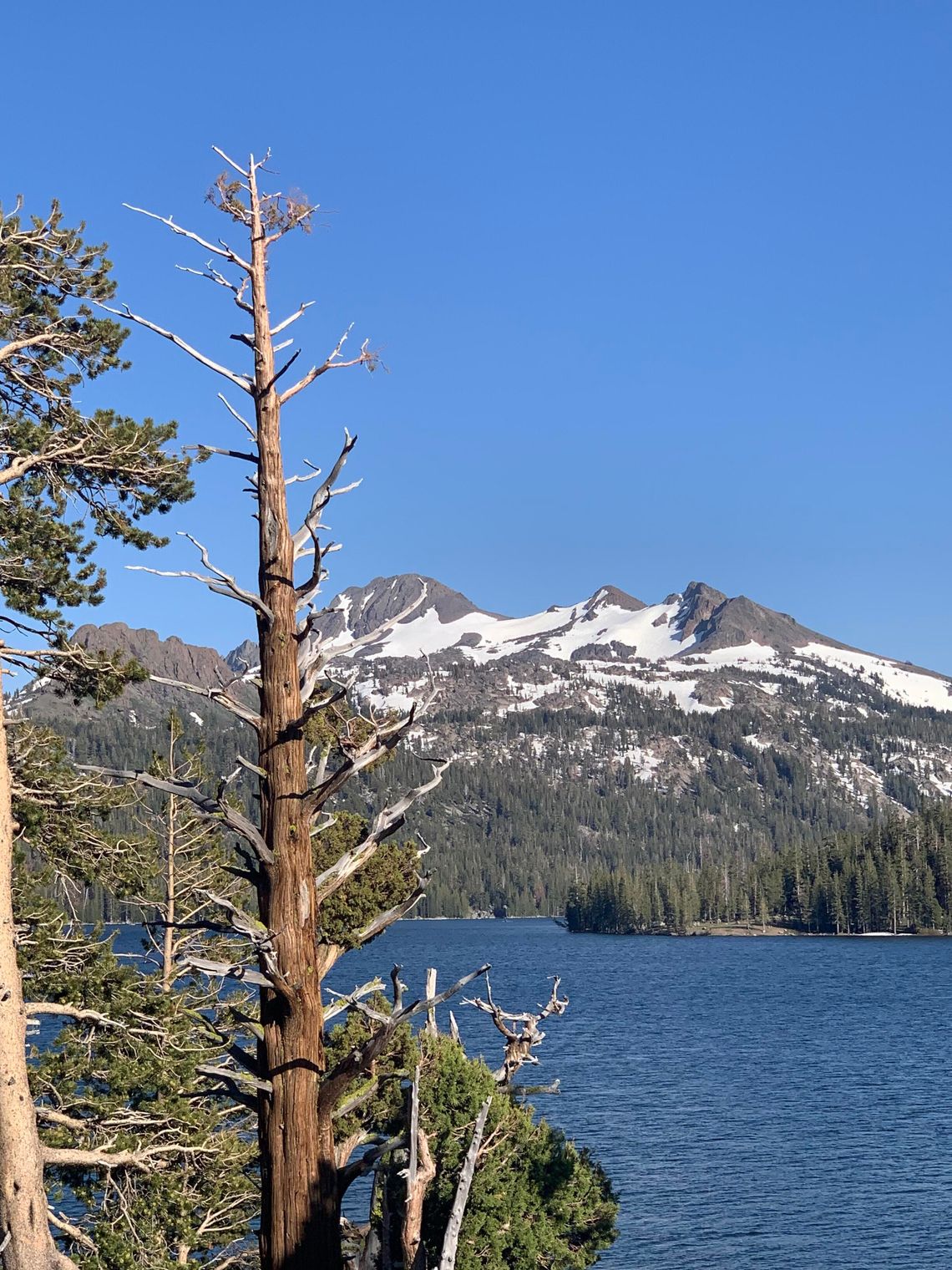State Engineer Cacioppo prefers local decisions on water use before curtailment State Engineer Cacioppo prefers local decisions on water use before curtailment