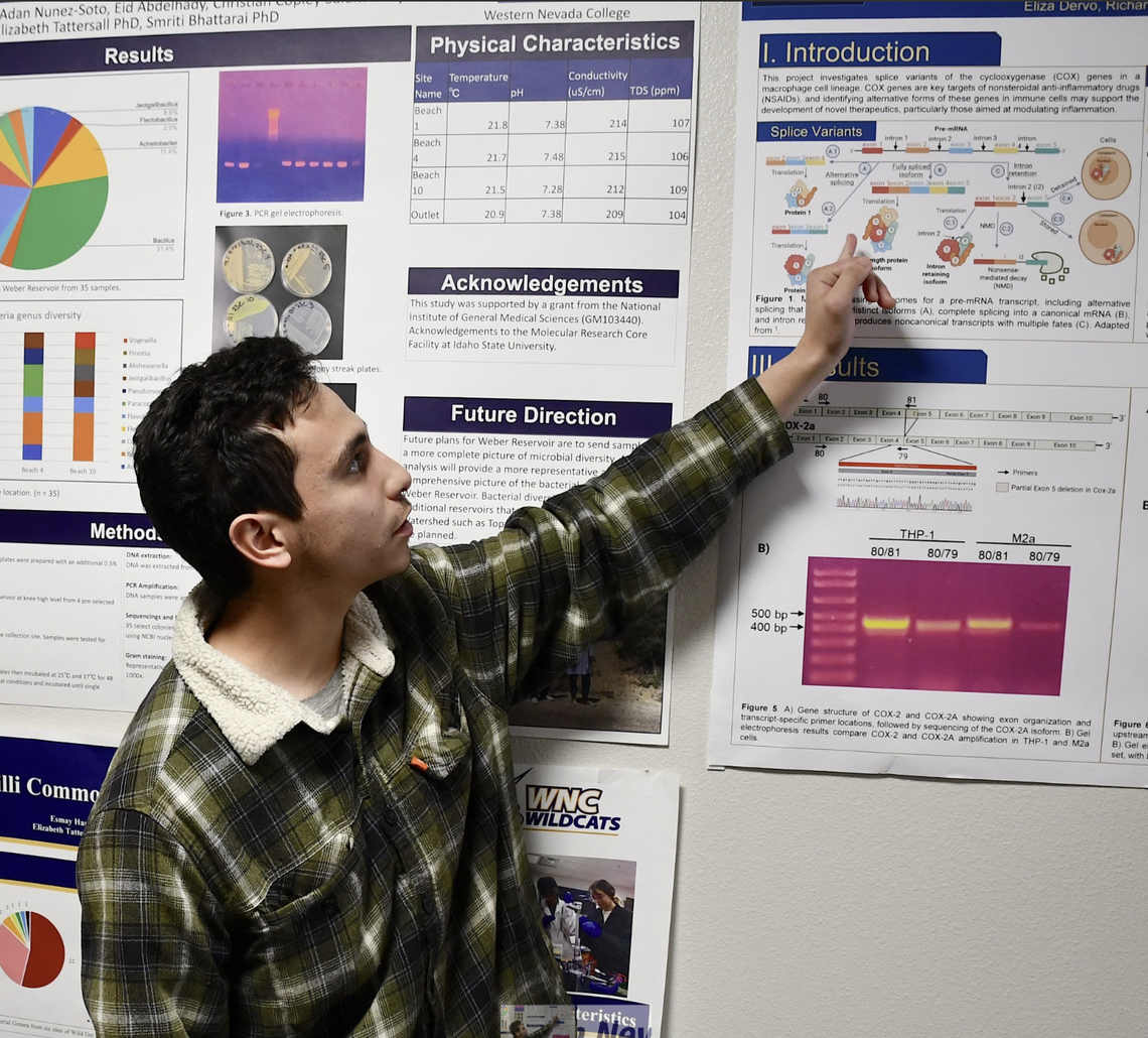 WNC Students Showcase Scientific Research